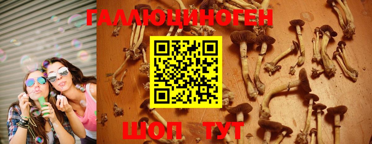 Галлюциногенные грибы ЛСД  как найти закладки  Псилоцибиновые грибы ЛСД  Елизово  Вход с VPN 