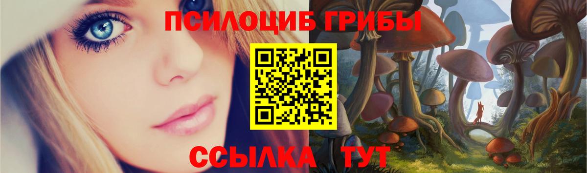 Галлюциногенные грибы Cubensis Елизово